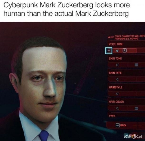 Mark Zuckerpunk