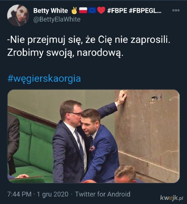 Wysyp memów po przyłapaniu na seksparty konserwatywnego węgierskiego eurodeputowanego, obrazek 14