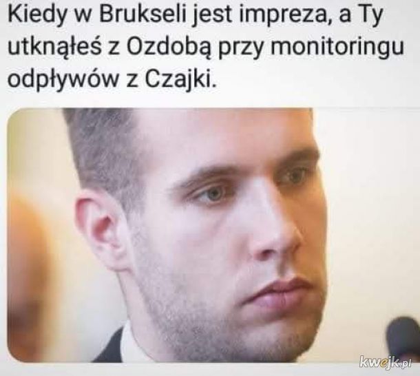 Wysyp memów po przyłapaniu na seksparty konserwatywnego węgierskiego eurodeputowanego, obrazek 19
