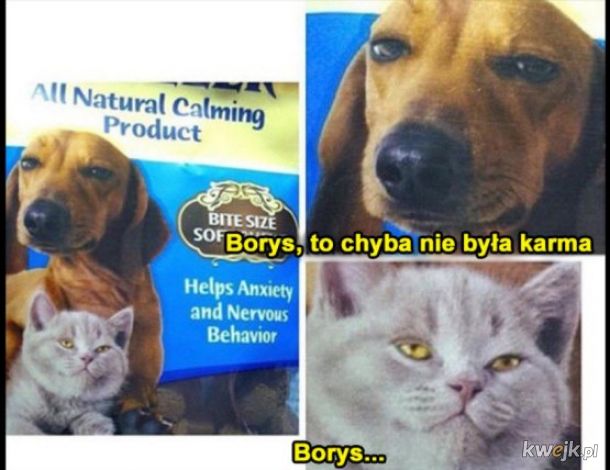borys...