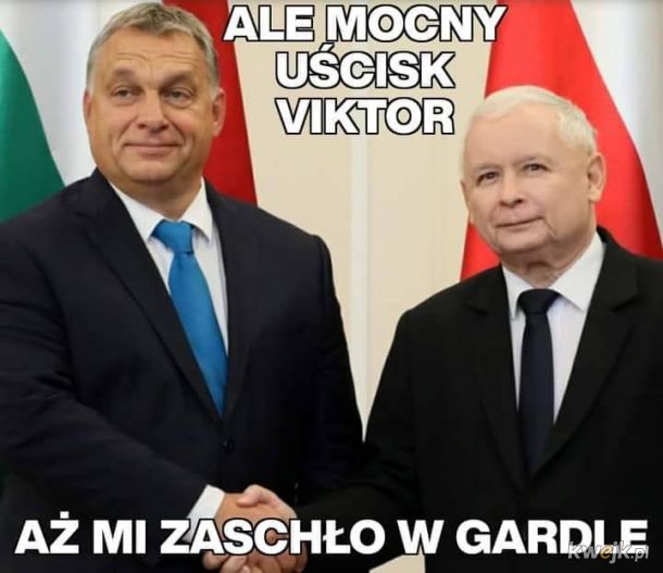 Wysyp memów po przyłapaniu na seksparty konserwatywnego węgierskiego eurodeputowanego, obrazek 3