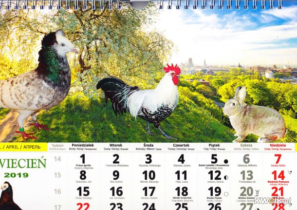 Podobał Wam się kalendarz KaMosu? To obczajcie to, obrazek 5