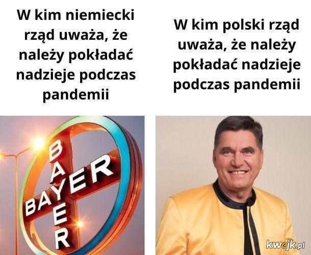 Reakcja internautów na wypowiedź Lidera Zespołu Bayer Full dotyczącą dotacji i Kultu: przegląd memów
