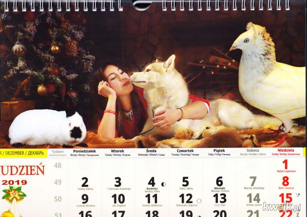 Podobał Wam się kalendarz KaMosu? To obczajcie to
