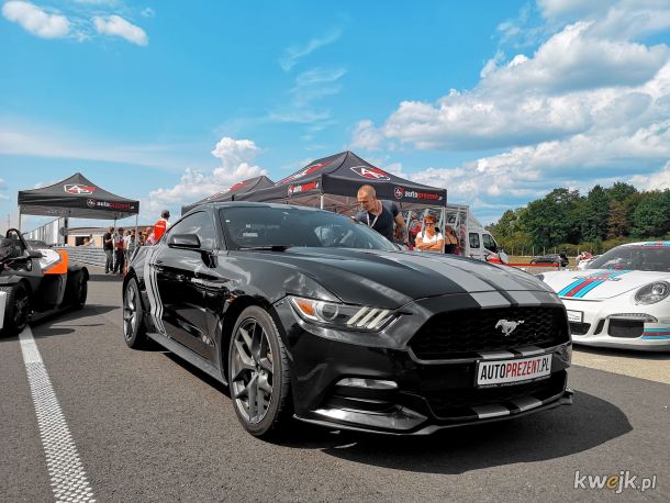 Ford Mustang 15 - czarna bestia