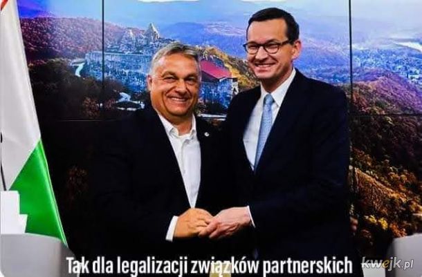 Wysyp memów po przyłapaniu na seksparty konserwatywnego węgierskiego eurodeputowanego, obrazek 21