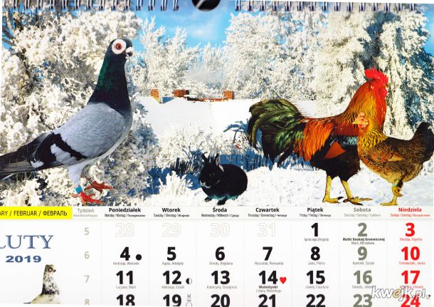 Podobał Wam się kalendarz KaMosu? To obczajcie to, obrazek 3