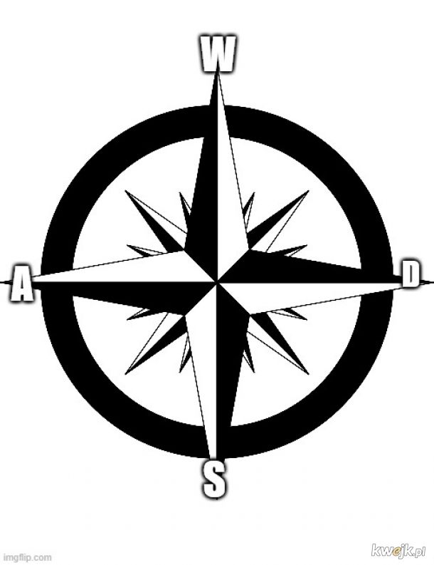 Kompas gracza