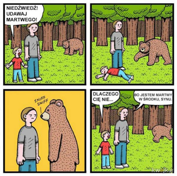 Ochrona przed niedźwiedziem