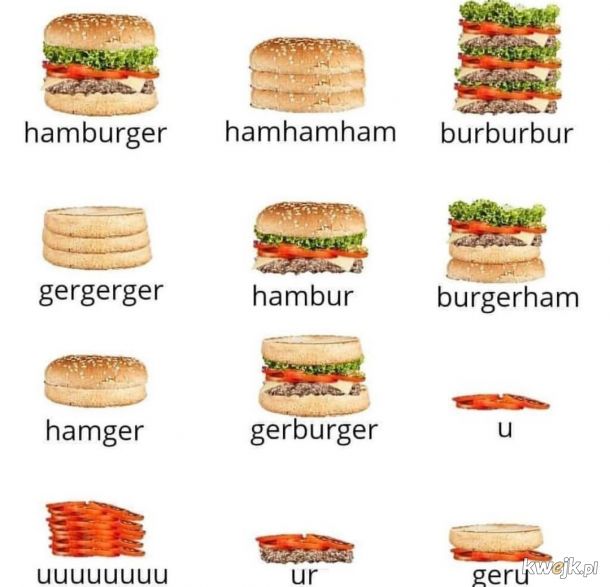 Anatomia hamburgera