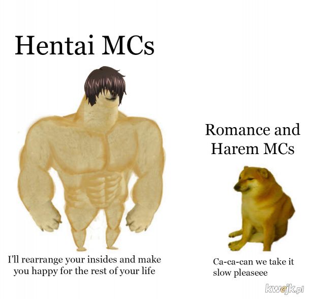 Widać że hentai MC jest lepszy