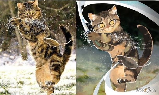 Piękne rysunki na podstawie śmiesznych kotków
