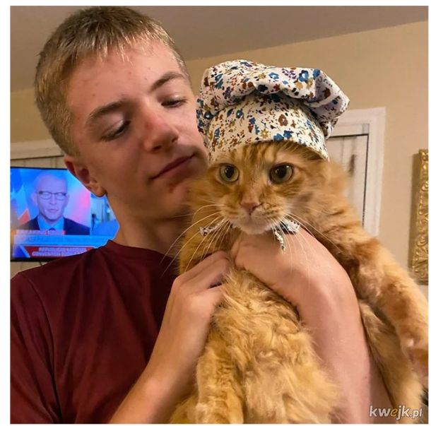 Ostatni krzyk mody w Internecie to czepki i czapki dla kotów! - Główni zainteresowani mają mieszane odczucia, obrazek 8