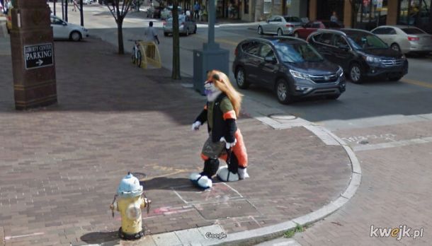 Najciekawsze zdjęcia z Google Street View, obrazek 30