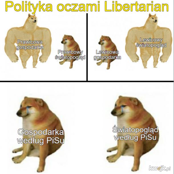 Libertarianie