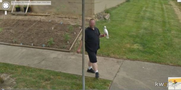 Niezwyczajne zdjęcia z Google Street