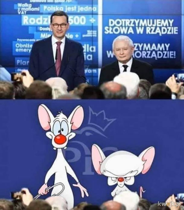 Pinki i Kaczyński