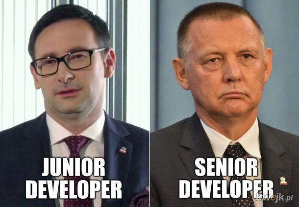 Junior vs Senior Developer