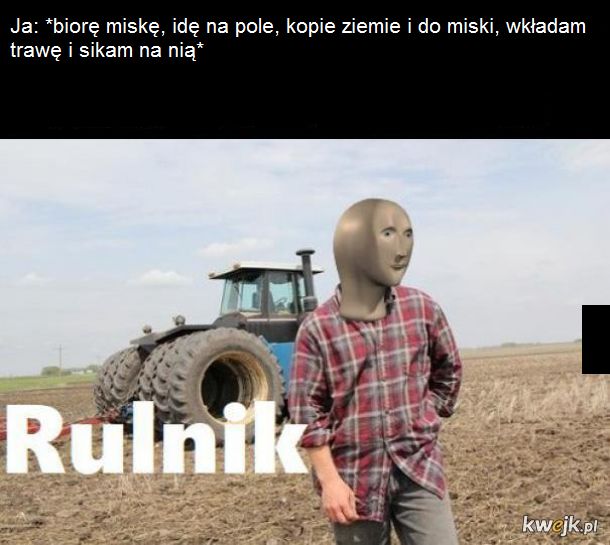 Rulnik