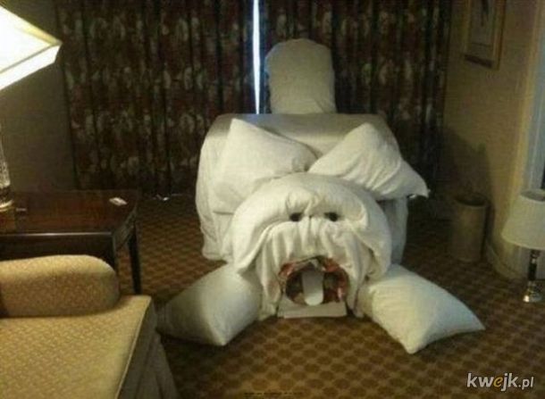 Humor z hotelowych pokojów, obrazek 4