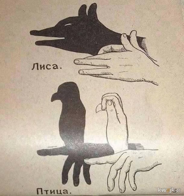 Stare instrukcje, jak zrobić zwierzaczki z cieni