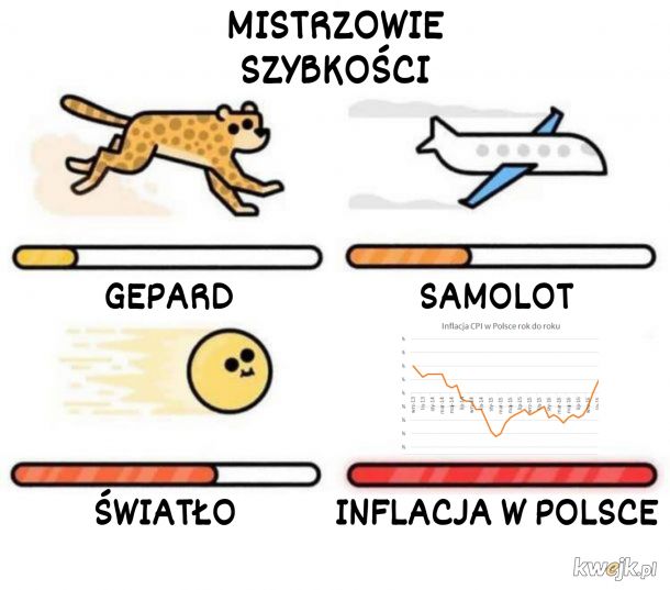 Inflacja W Polsce Najlepsze Memy Zdjecia Gify I Obrazki Kwejk Pl