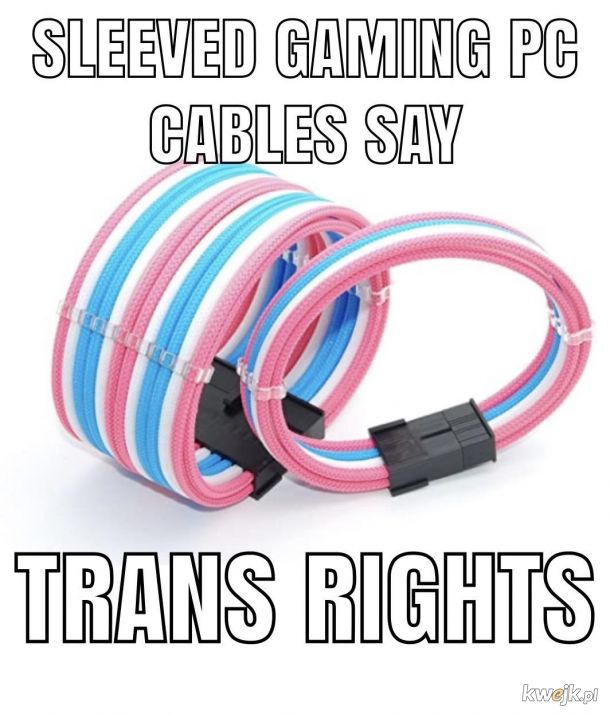 Trans rights