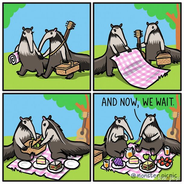Piknik na łące