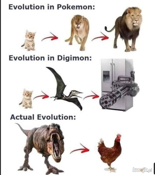 Ewolucja.