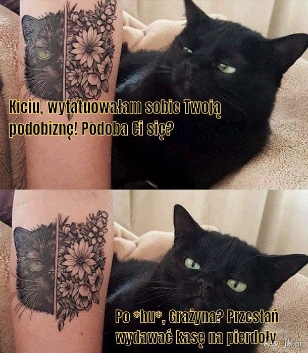 Tatuażem kot się nie naje