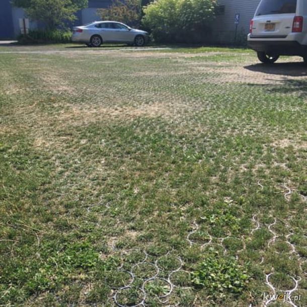 Parking trawnikowy - najlepsza opcja na betonozę.