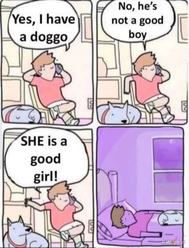 Doggo