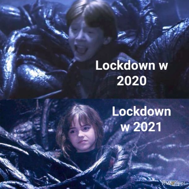 Śmieszki i memy z Harry'ego Pottera