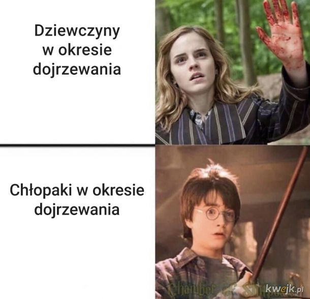 Śmieszki i memy z Harry'ego Pottera