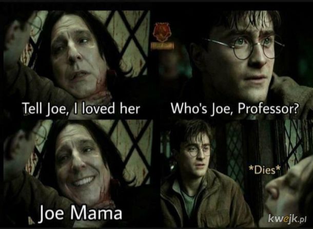 Śmieszki i memy z Harry'ego Pottera, obrazek 30