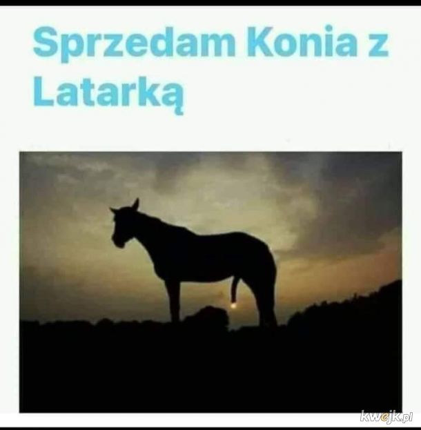Latarka