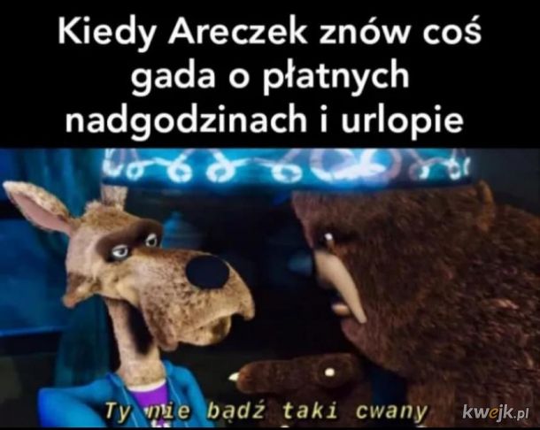Areczek