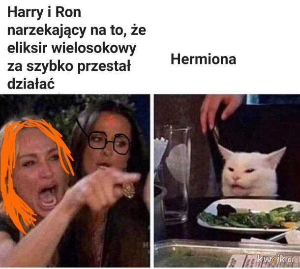 Śmieszki i memy z Harry'ego Pottera, obrazek 18
