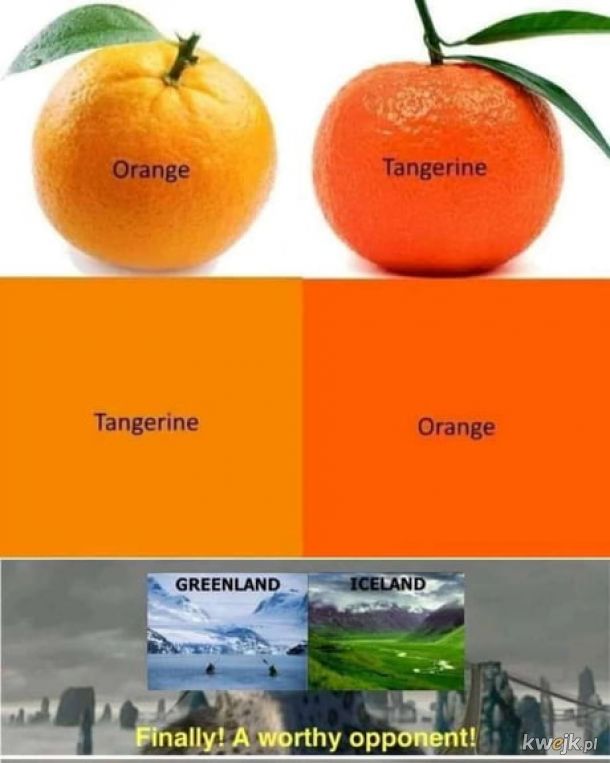 Pomarańcza to pomarańcza.