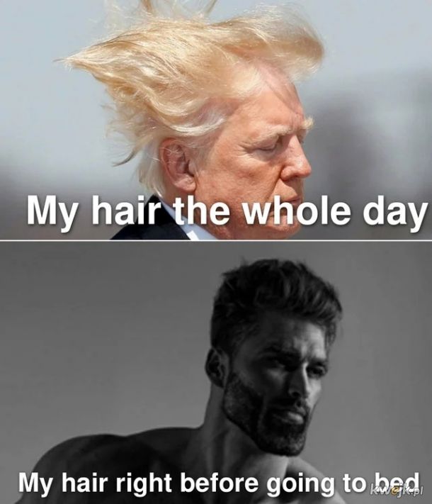 Typowe włosy...