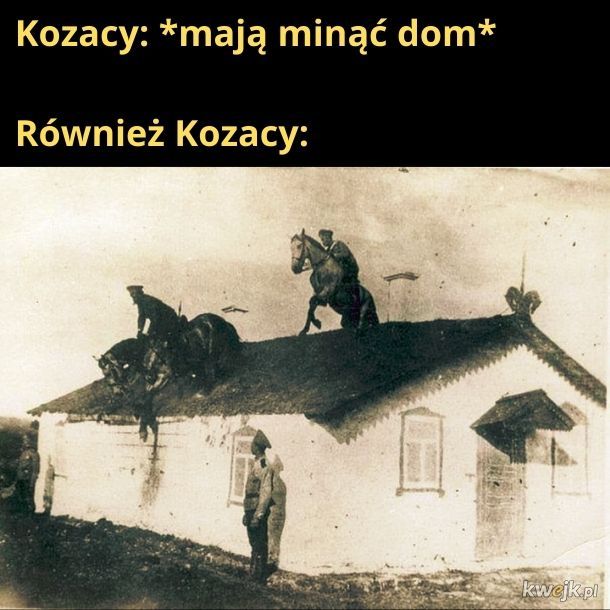 Kozacy