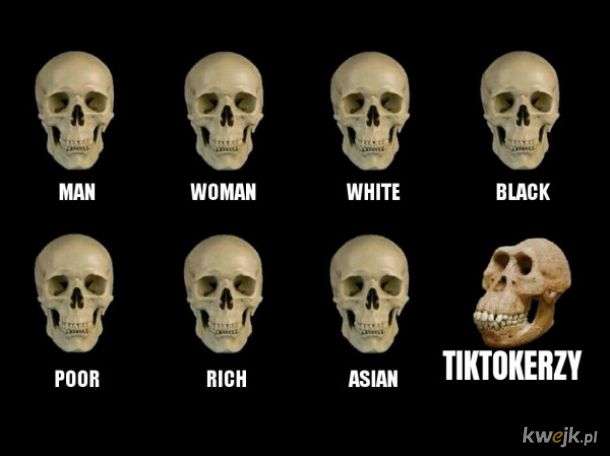 Rodzaje czaszek ludzkich