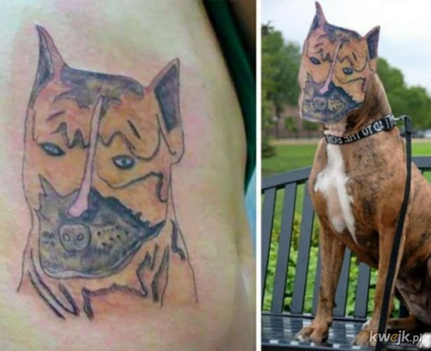 Kiedy tatuażysta chciał podejrzanie mało pieniędzy za swoją pracę...