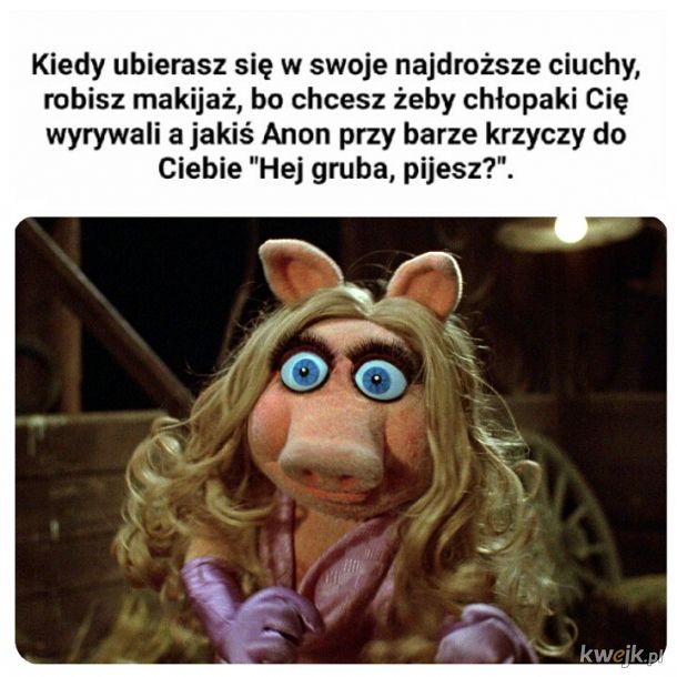 Bezczel - Ministerstwo śmiesznych obrazków - KWEJK.pl
