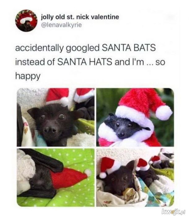 Satans bats.
