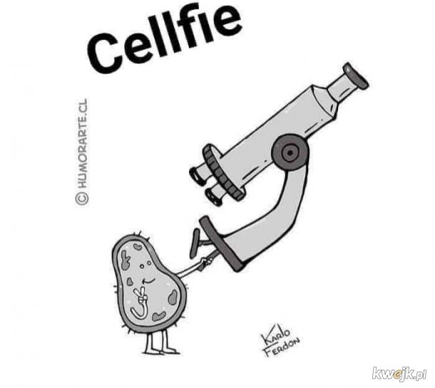 Cellfie