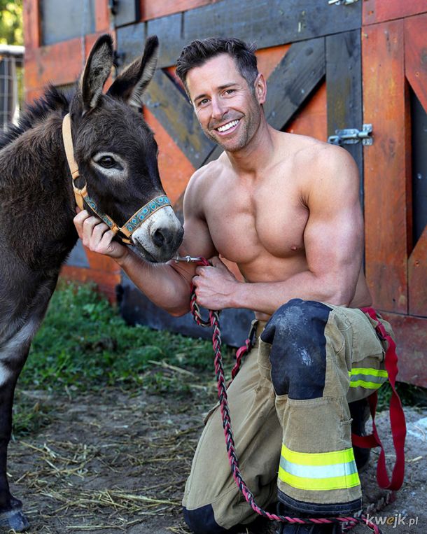 Słodkie zwierzaczki na kalendarzu australijskich strażaków. No i strażacy też tam są., obrazek 19