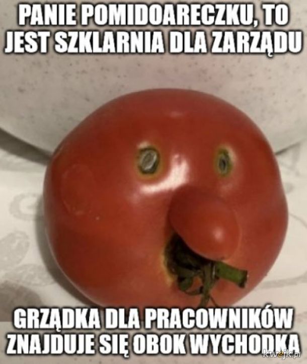 Panie pomidoreczku