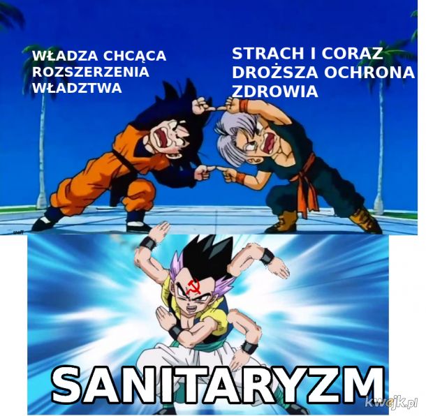 sanitaryzm wg Tomasza Szasza
