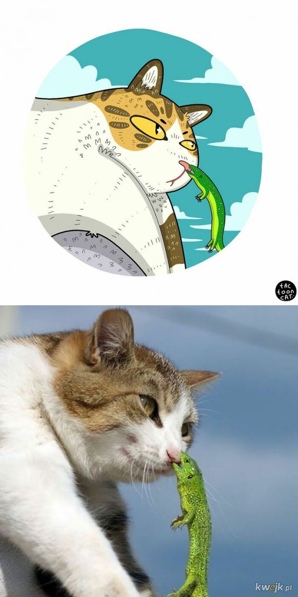 Prawdziwe kotki w komiksowej odsłonie, obrazek 16